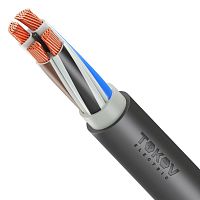 Кабель TOKOV ELECTRIC ВВГнг(А)-LS 4х50 МС (N) 1кВ (м) УТ000029822 Кабель TOKOV ELECTRIC ВВГнг(А)-LS 4х50 МС (N) 1кВ (м) УТ000029822