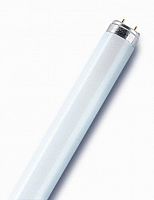 Лампа люминесцентная L 18W/865 FED LUMILUX 18Вт линейная T8 G13 OSRAM 4058075693098 Лампа люминесцентная L 18W/865 FED LUMILUX 18Вт линейная T8 G13 OSRAM 4058075693098